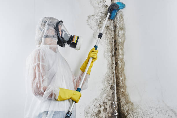 Professional Water damage restoration in North Fort Lewis, WA